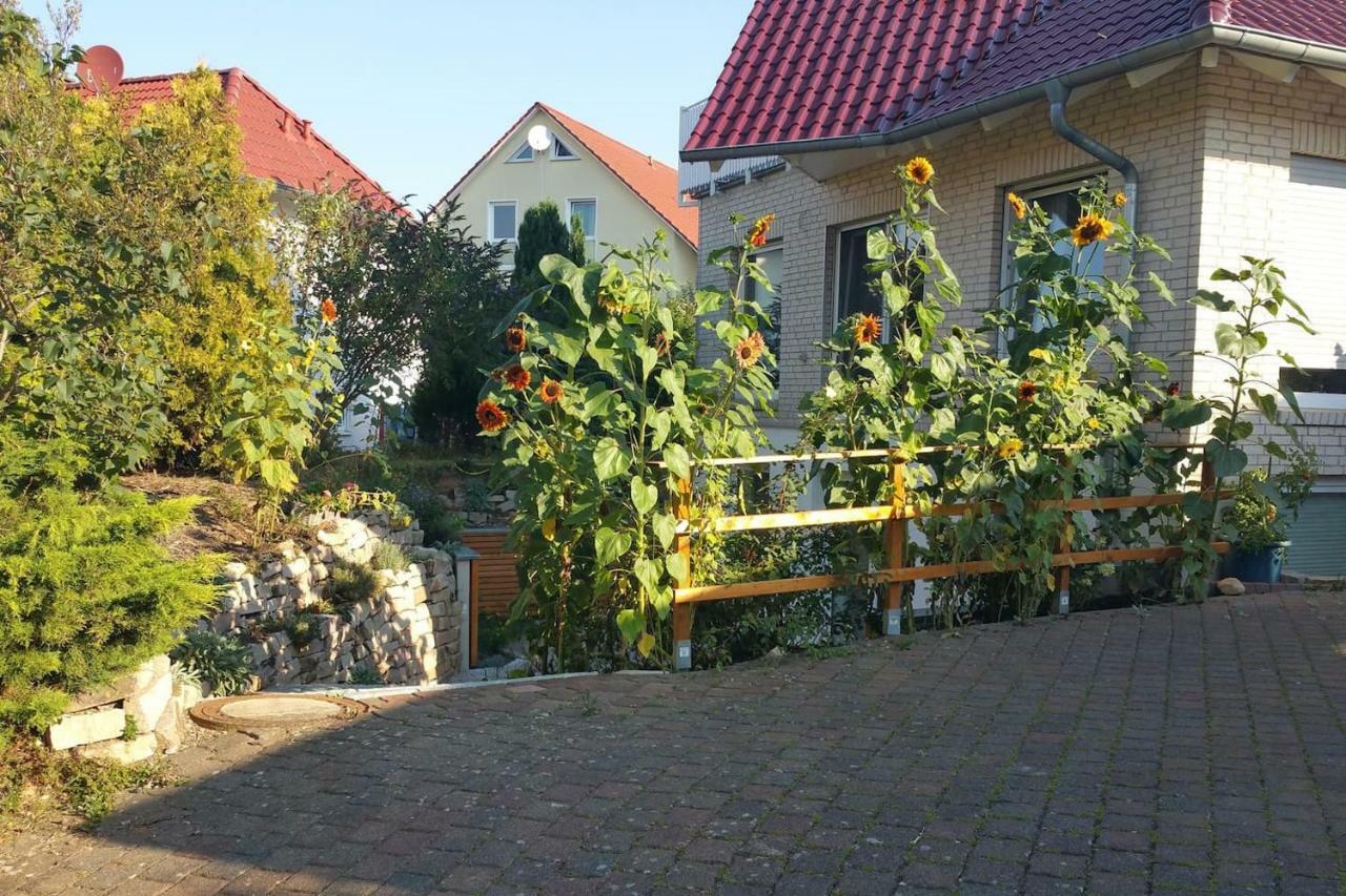 Friedland - Gross Schneen Goe 10 Km Exterior photo
